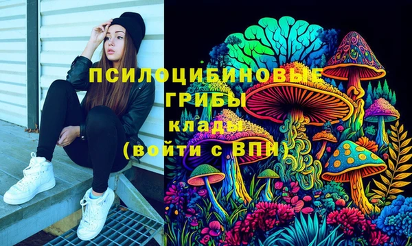 первитин Лагань