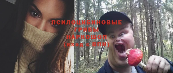 мдма Ладушкин
